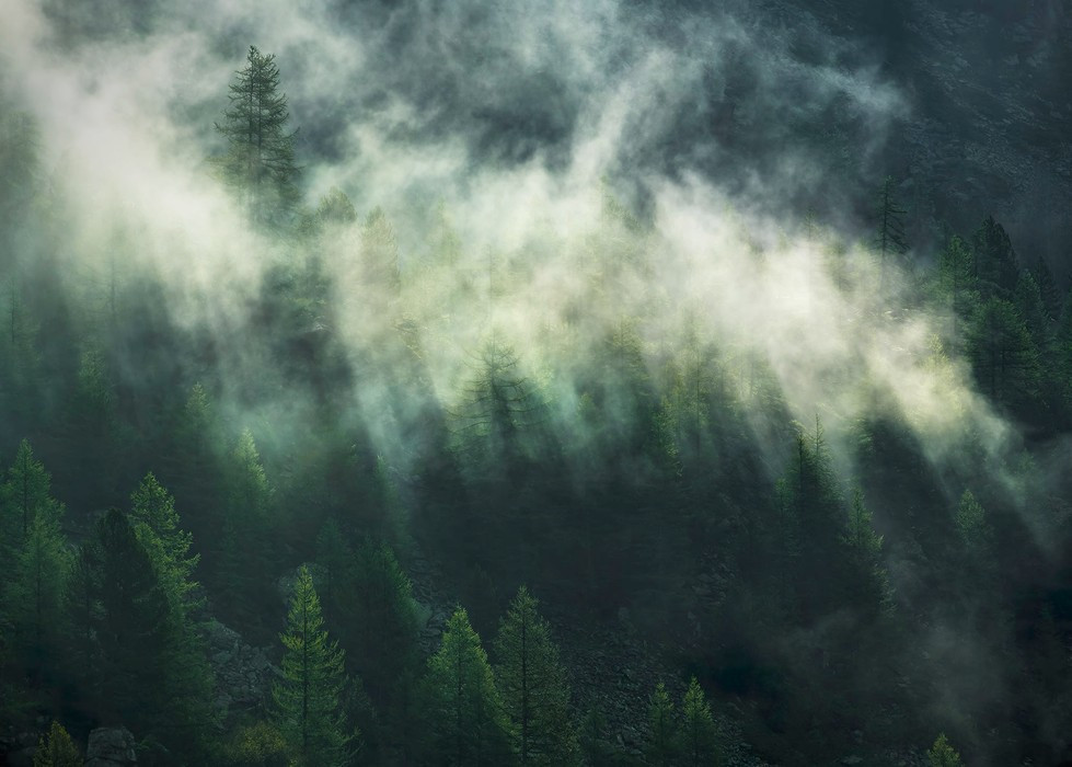 Misty Crowns