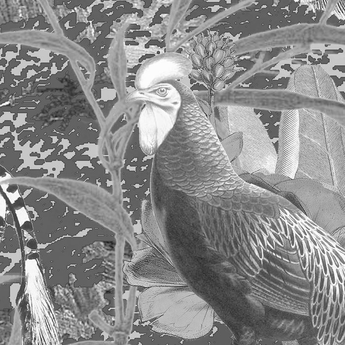 Flora and Fauna