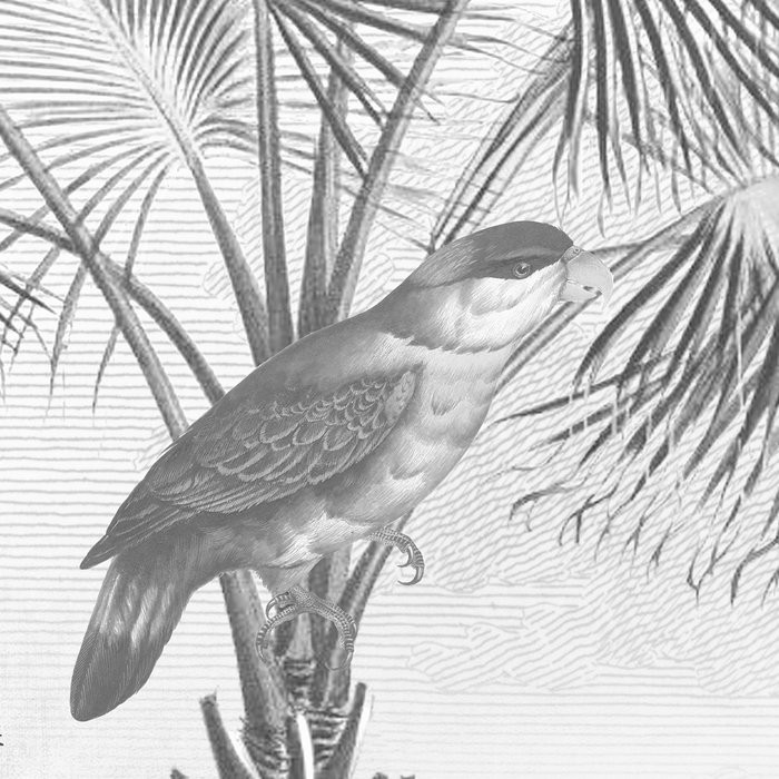 Flora and Fauna