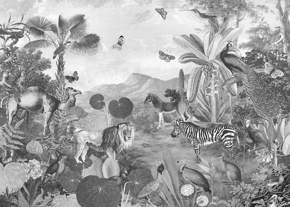 Flora and Fauna