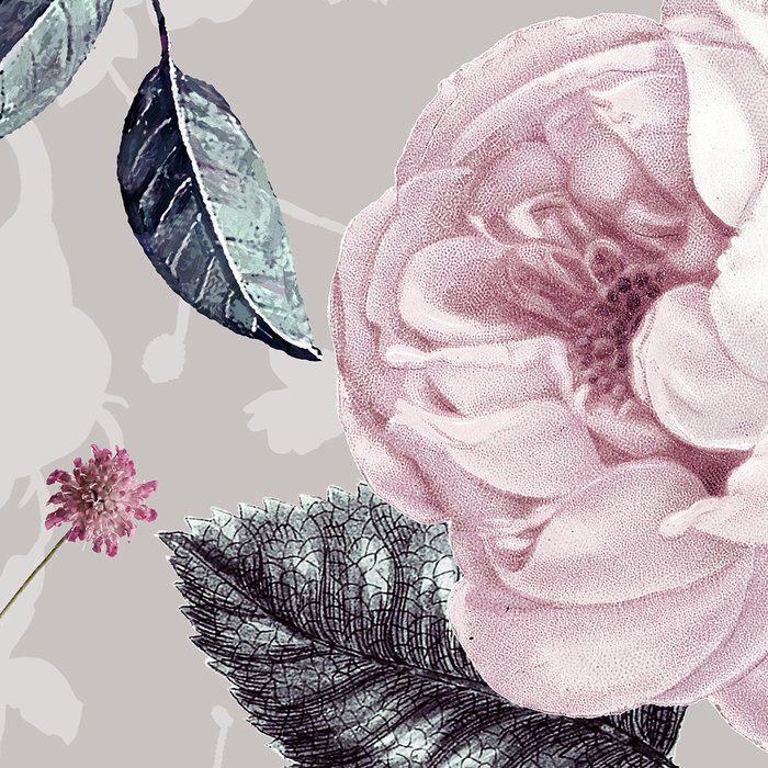 Lovely Blossoms