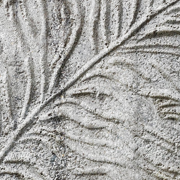 Concrete Feather