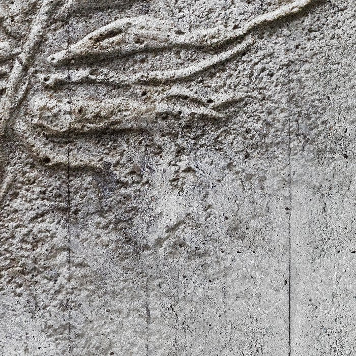 Concrete Feather