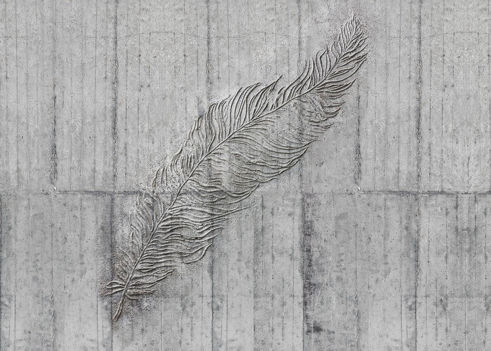 Concrete Feather