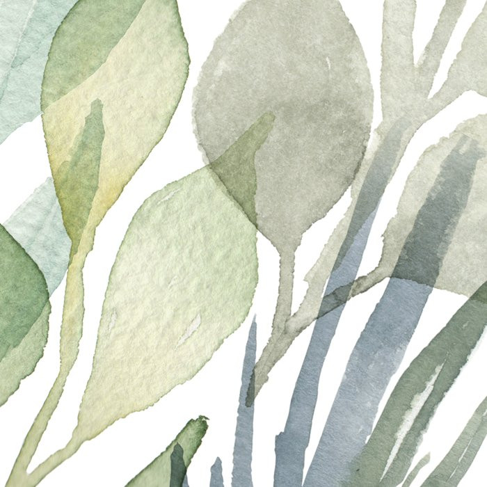 Breeze