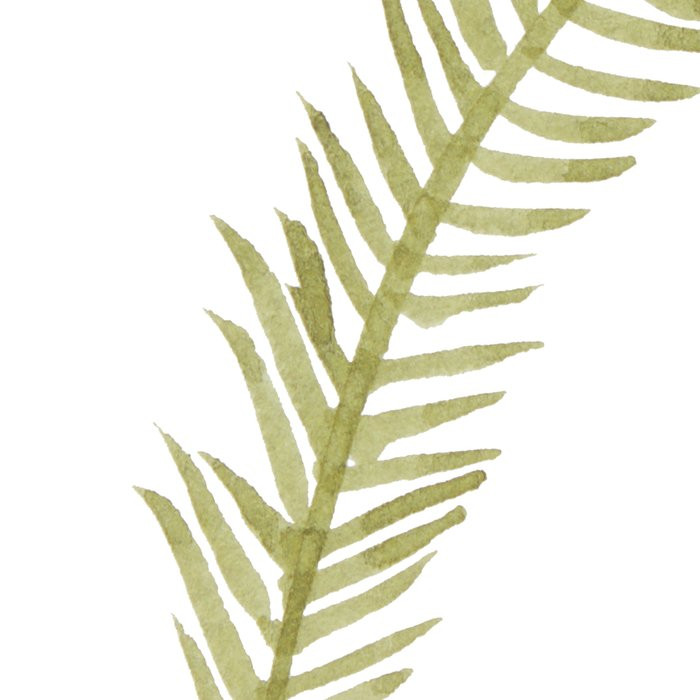 Breeze