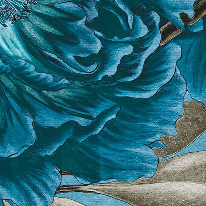Royal Peony