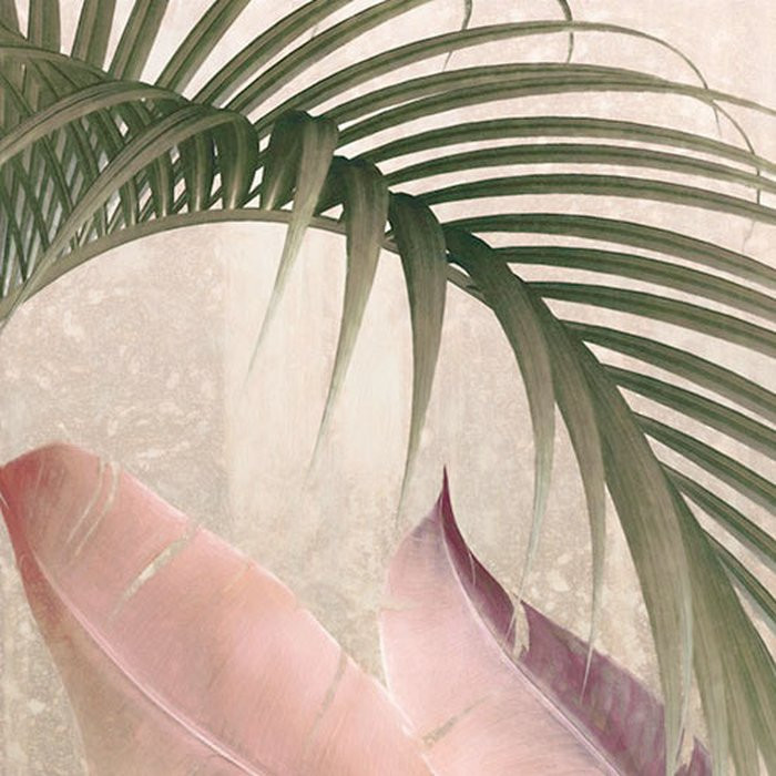 Rainforest Mist