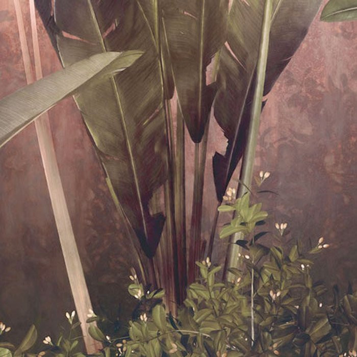 Rainforest Mist