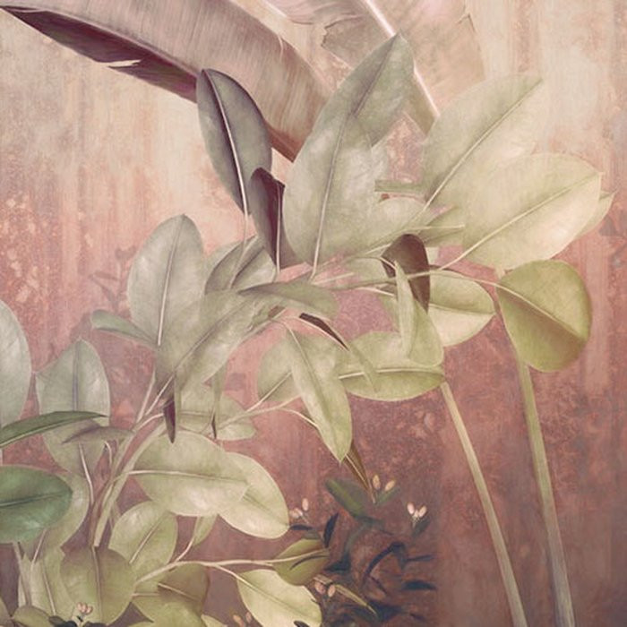 Rainforest Mist