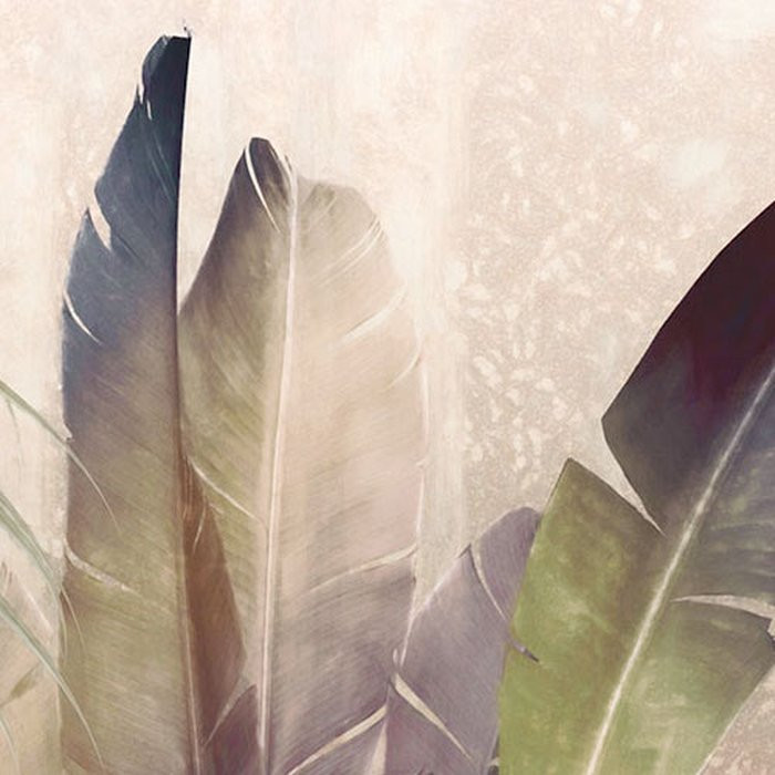 Rainforest Mist