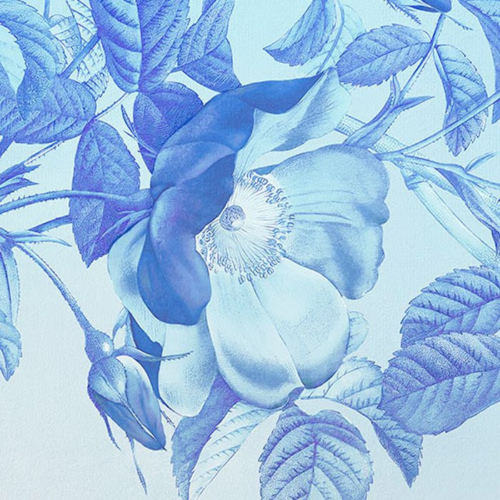 Blue Aura