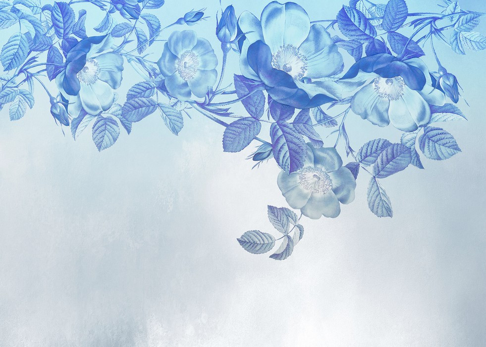Blue Aura