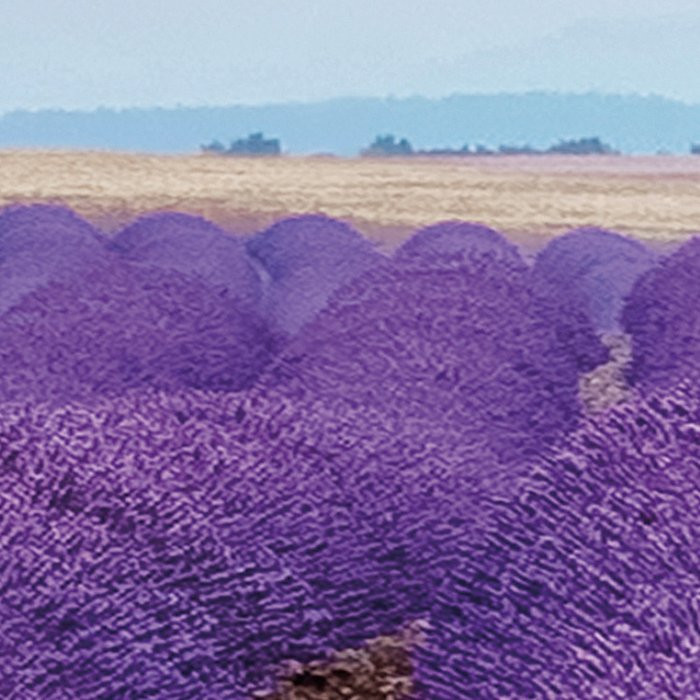 Provence