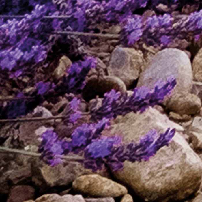 Provence