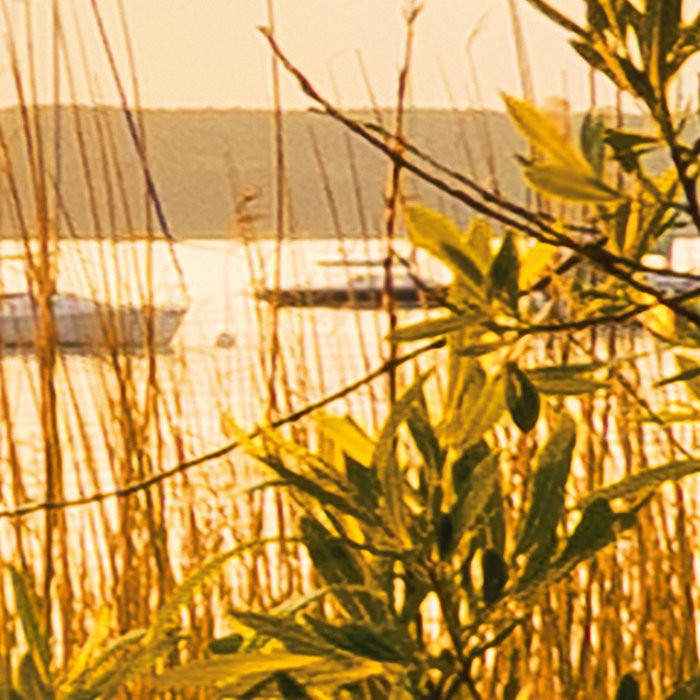 Lakeside