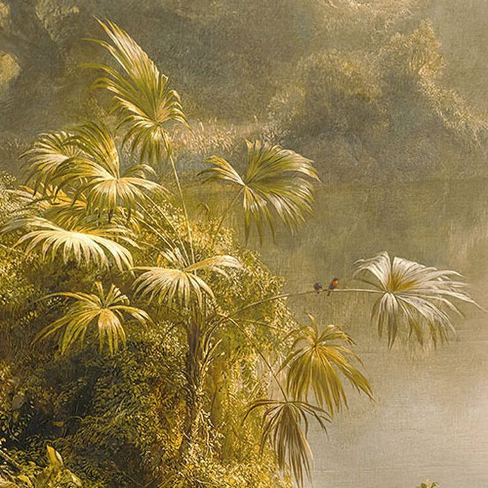 Rio de Luz