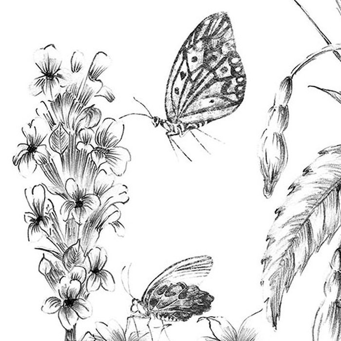 Butterfly Field