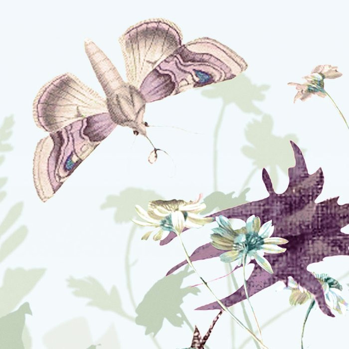 Botanica
