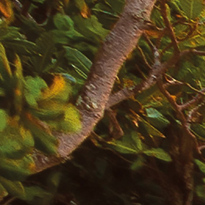 Nature