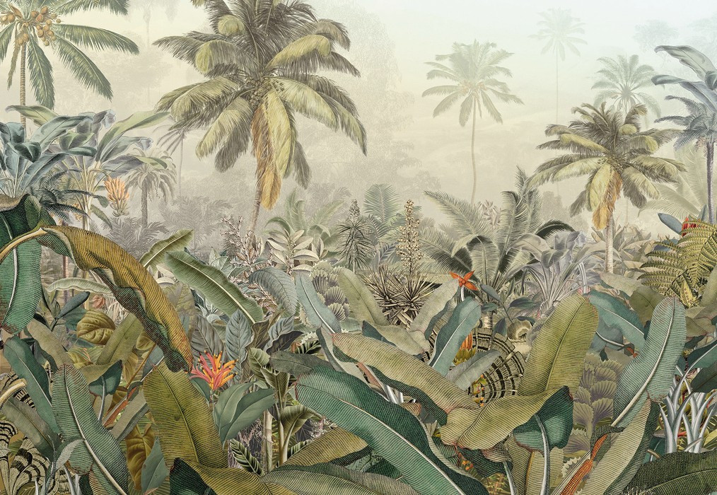 Amazonia
