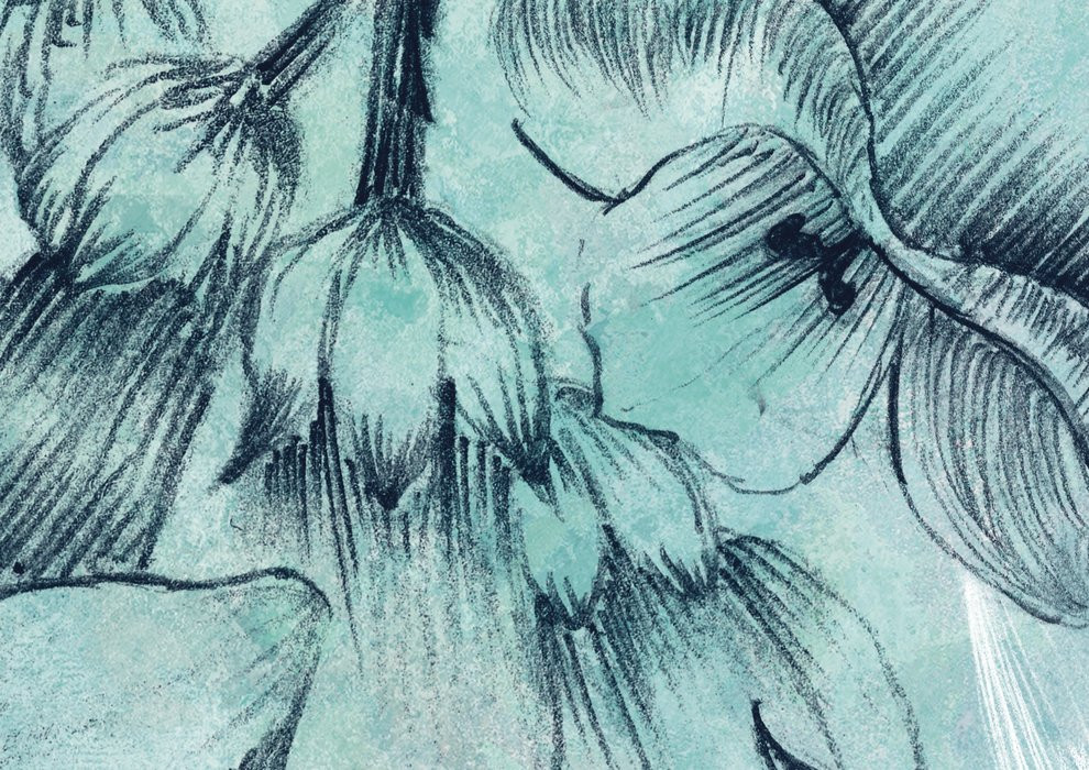 Windflowers