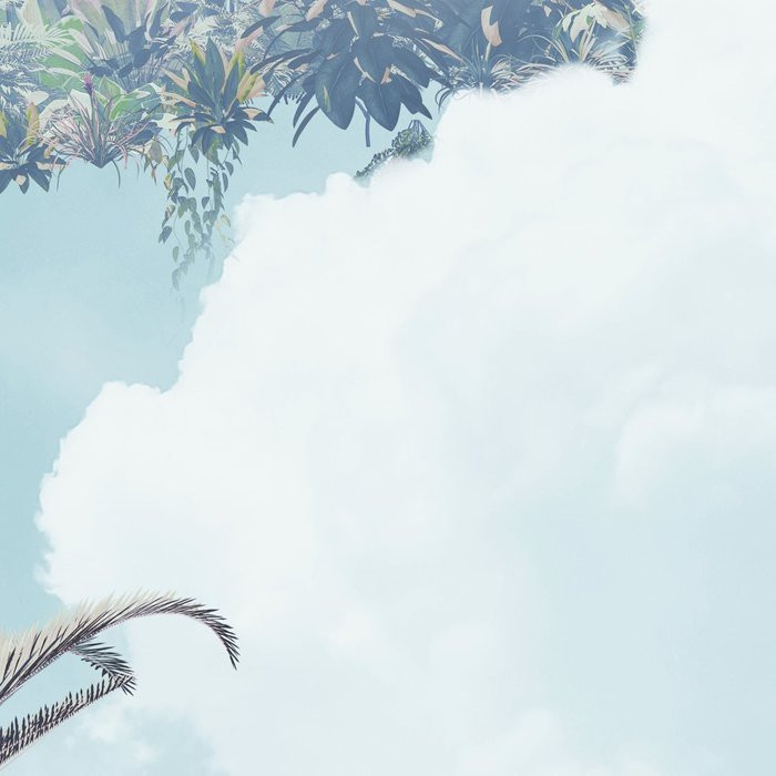 Tropical Heaven