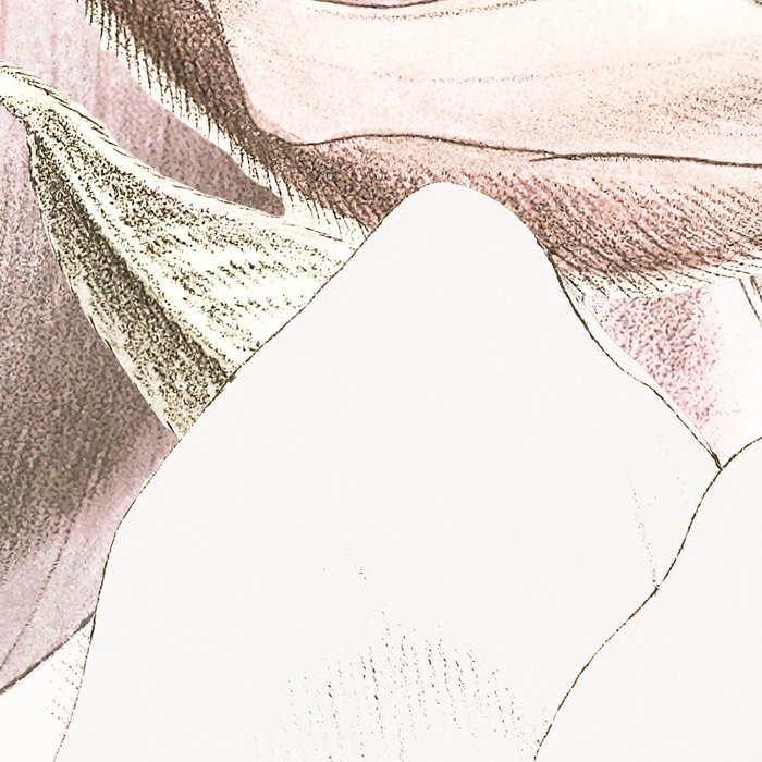 Petals