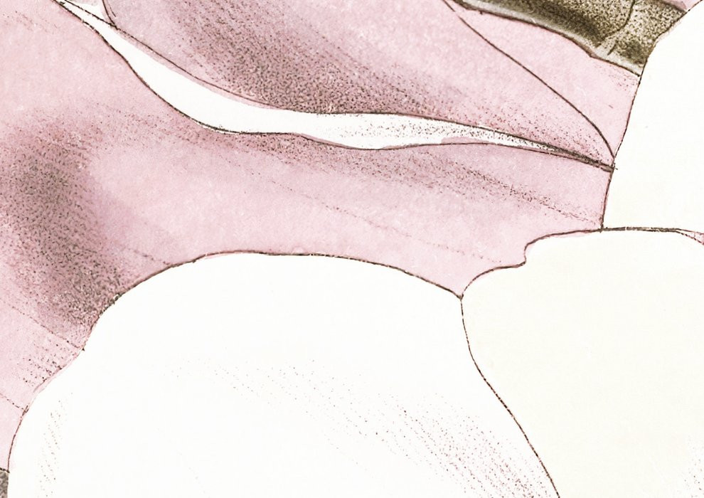 Petals