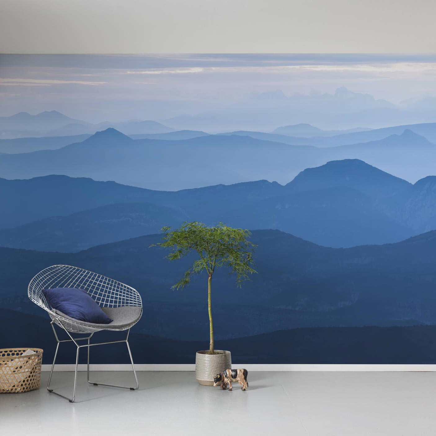 Blule Mountain Blue Mountain